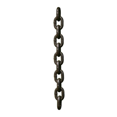 Grade 100 Alloy Chain