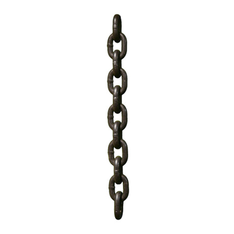 Chain by the foot
