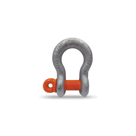 Shackles -