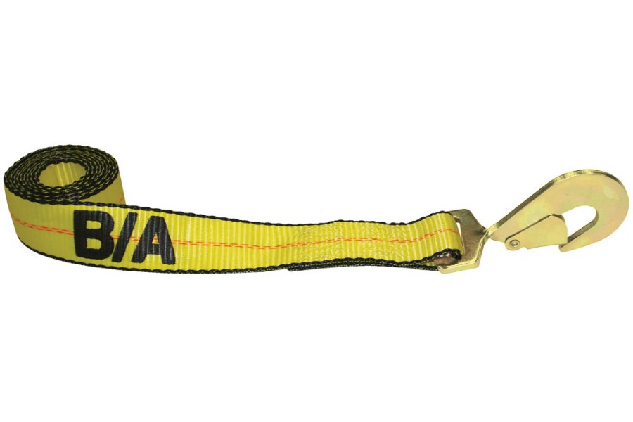 2" strap with twisted snap hook