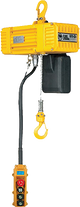 FD Series Electric Chain Hoist 520 lbs WLL (BLFD-024)
